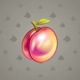 Precious Peach #1643 Precious Peach #1643