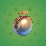 Precious Peach #1654 Precious Peach #1654