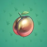Precious Peach #1666 Precious Peach #1666