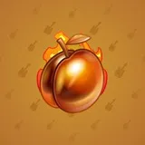 Precious Peach #1675 Precious Peach #1675