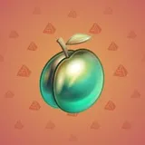 Precious Peach #1706 Precious Peach #1706