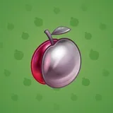 Precious Peach #1736 Precious Peach #1736