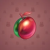 Precious Peach #1753 Precious Peach #1753
