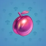 Precious Peach #1777 Precious Peach #1777