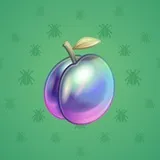 Precious Peach #1831 Precious Peach #1831