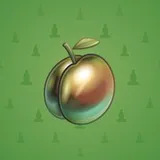 Precious Peach #1844