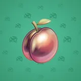 Precious Peach #1886 Precious Peach #1886