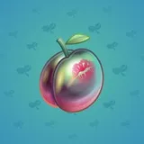 Precious Peach #20 Precious Peach #20