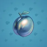 Precious Peach #2004 Precious Peach #2004