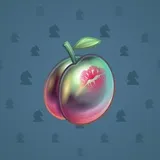 Precious Peach #2007 Precious Peach #2007