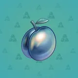 Precious Peach #2015 Precious Peach #2015