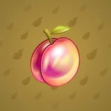 Precious Peach #2107 Precious Peach #2107