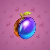 Precious Peach #2123 Precious Peach #2123