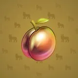 Precious Peach #2141 Precious Peach #2141