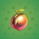 Precious Peach #2175 Precious Peach #2175