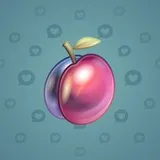 Precious Peach #231 Precious Peach #231