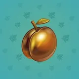 Precious Peach #242 Precious Peach #242