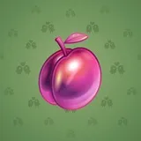Precious Peach #2424 Precious Peach #2424