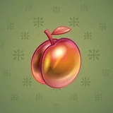 Precious Peach #2446 Precious Peach #2446