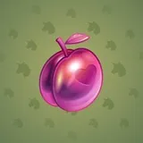 Precious Peach #2447 Precious Peach #2447