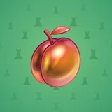 Precious Peach #2470 Precious Peach #2470