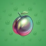 Precious Peach #2474 Precious Peach #2474