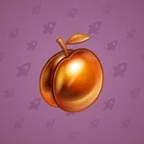 Precious Peach #2479 Precious Peach #2479