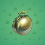 Precious Peach #2498 Precious Peach #2498