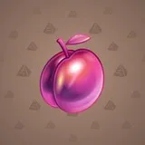Precious Peach #251 Precious Peach #251