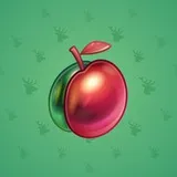 Precious Peach #2529 Precious Peach #2529