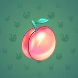 Precious Peach #2553 Precious Peach #2553