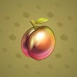 Precious Peach #2559 Precious Peach #2559