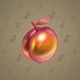 Precious Peach #2584 Precious Peach #2584