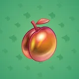 Precious Peach #2717 Precious Peach #2717