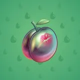 Precious Peach #2777 Precious Peach #2777