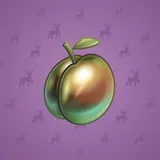 Precious Peach #2792 Precious Peach #2792