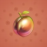 Precious Peach #2796 Precious Peach #2796