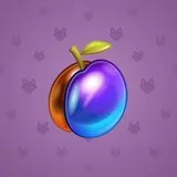 Precious Peach #2816 Precious Peach #2816