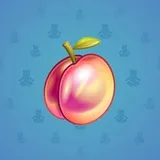 Precious Peach #2818 Precious Peach #2818