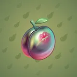 Precious Peach #344 Precious Peach #344