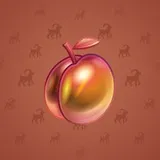 Precious Peach #365 Precious Peach #365