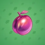 Precious Peach #369 Precious Peach #369