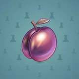 Precious Peach #40 Precious Peach #40