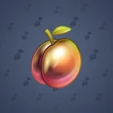 Precious Peach #404 Precious Peach #404