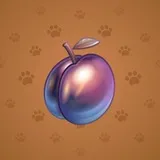 Precious Peach #466 Precious Peach #466