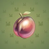 Precious Peach #486 Precious Peach #486