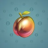 Precious Peach #488 Precious Peach #488