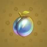 Precious Peach #496 Precious Peach #496
