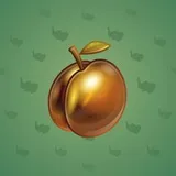 Precious Peach #497 Precious Peach #497