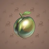 Precious Peach #500 Precious Peach #500
